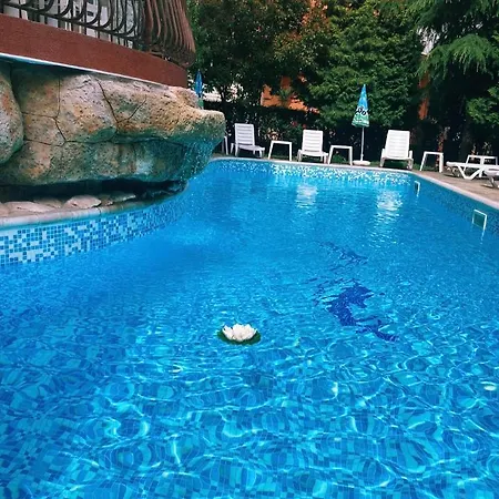 Dolphin